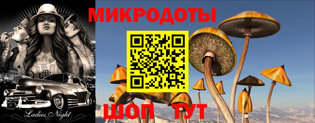 Псилоцибиновые грибы ЛСД  Вход с VPN  купить наркотик  Видное  Псилоцибиновые грибы Psilocybine cubensis 