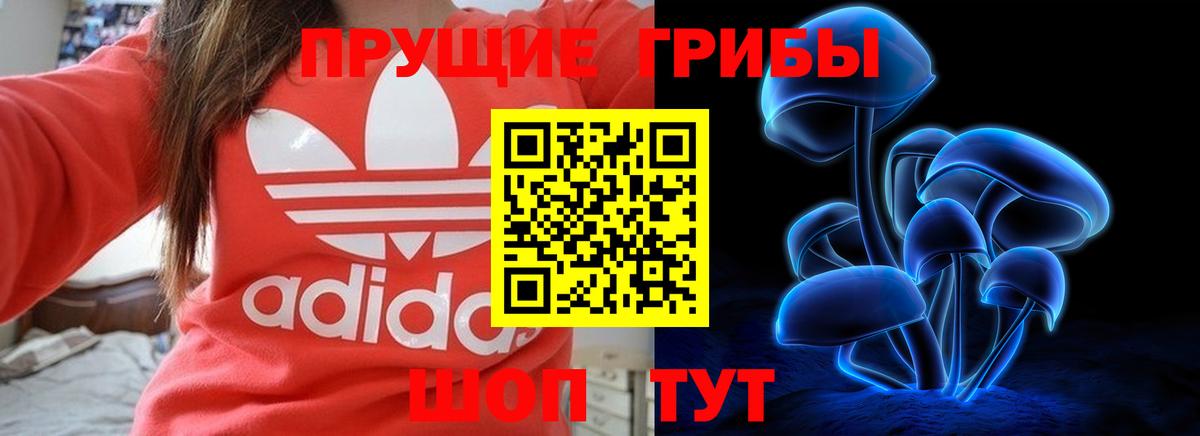 Псилоцибиновые грибы прущие грибы Видное